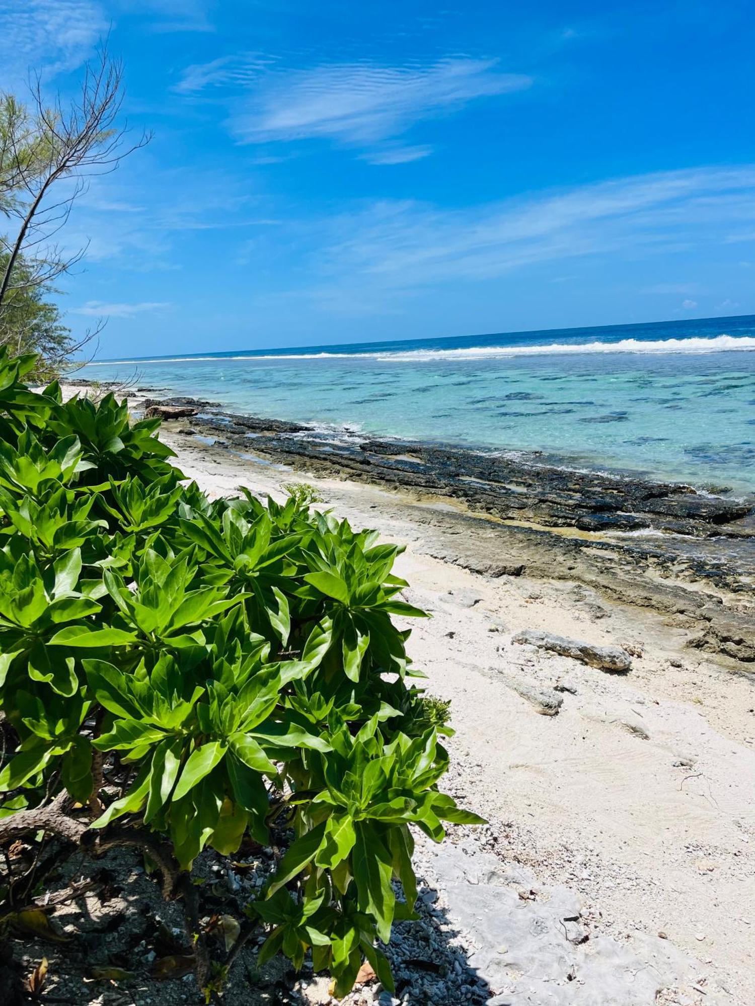Bungalow Kura Moorea Exterior photo